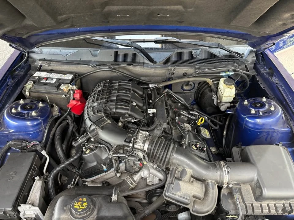2014 Ford S197 Mustang - Image 16 of 16
