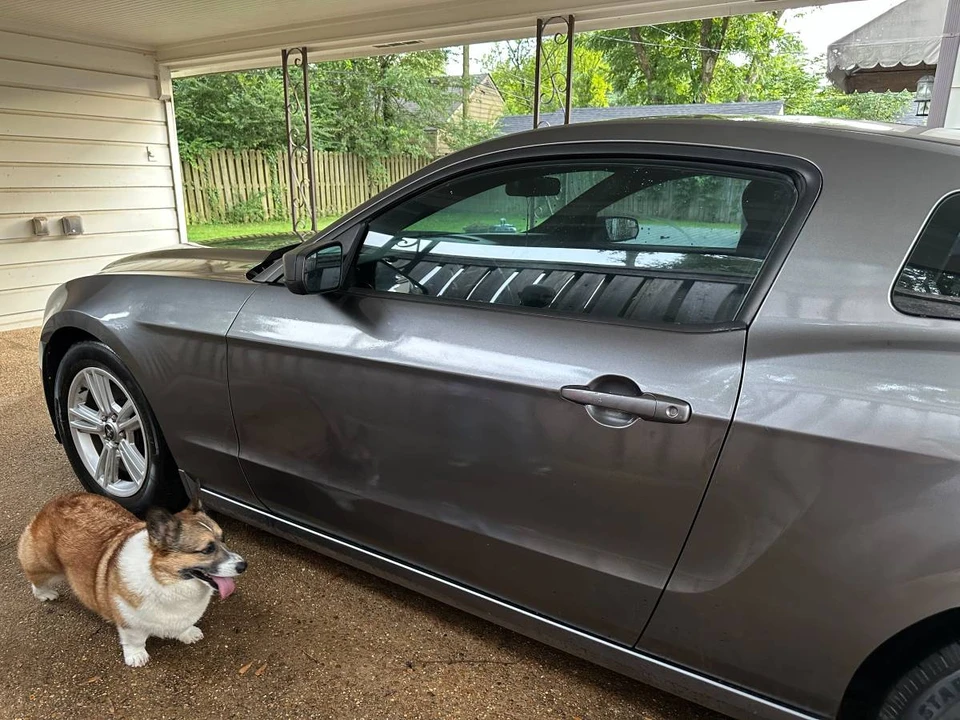 2014 Ford S197 Mustang - Image 2 of 10