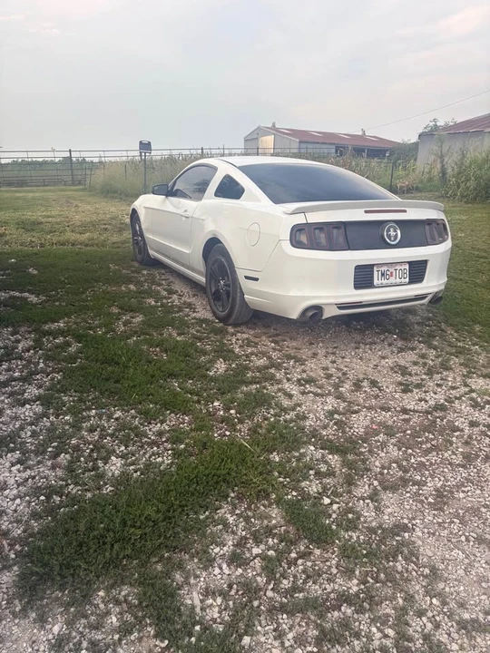 2014 Ford S197 Mustang - Image 6 of 6