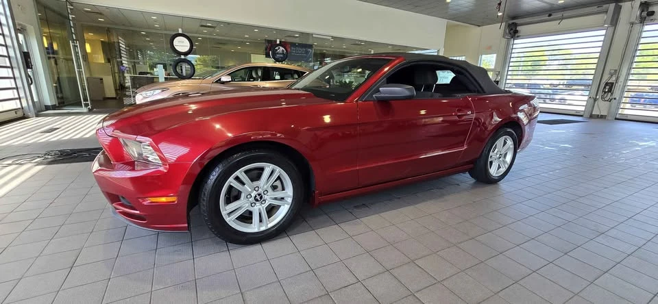 2014 Ford S197 Mustang - Image 3 of 14