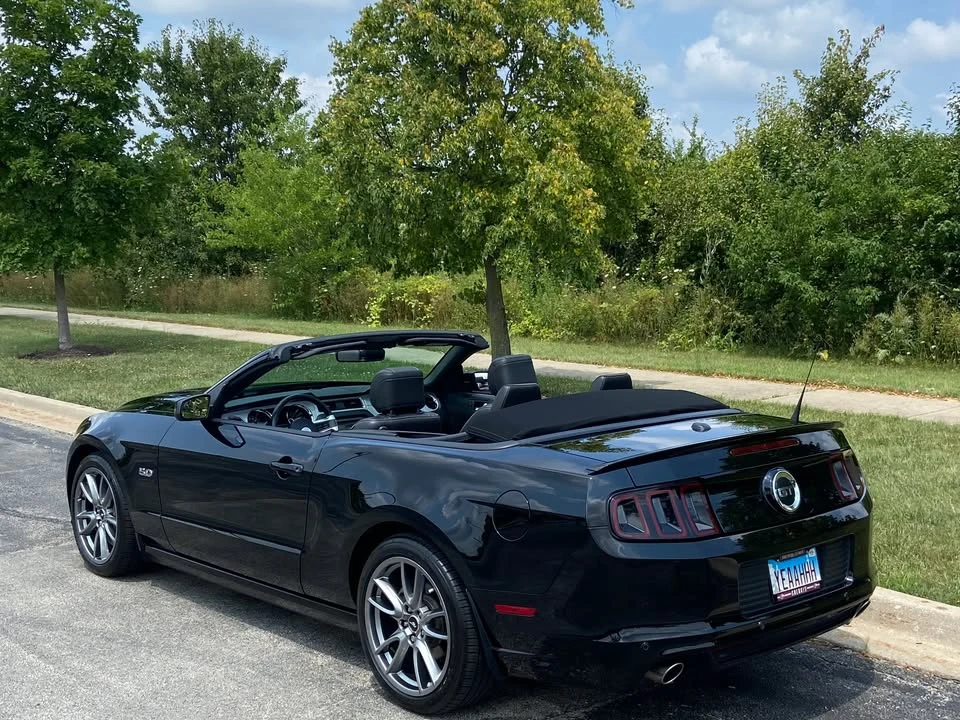 2014 Ford S197 Mustang - Image 14 of 14