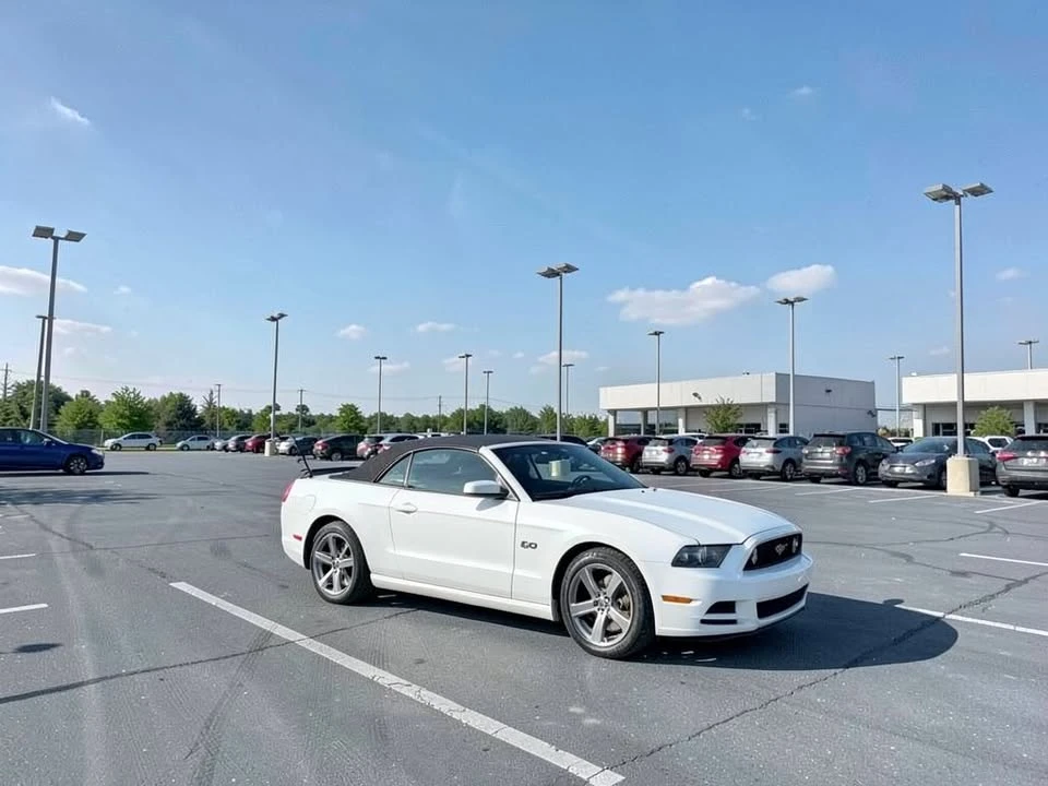 2014 Ford S197 Mustang GT - Image 3 of 19