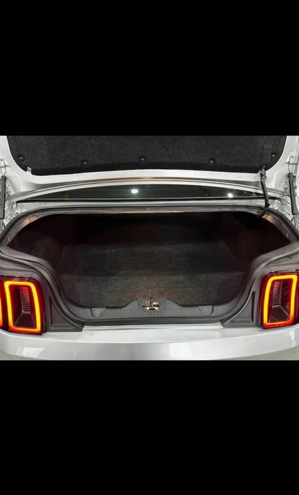 2014 Ford S197 Mustang - Image 13 of 13