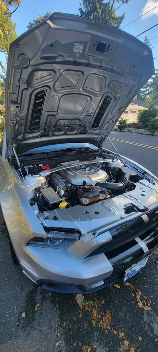 2014 Ford S197 Mustang - Image 14 of 20