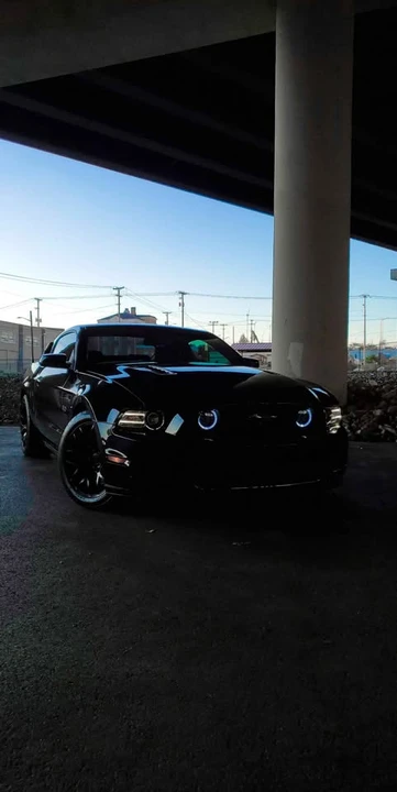 2014 Ford S197 Mustang GT - Image 16 of 16