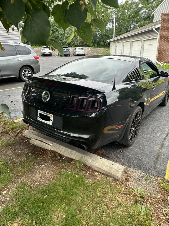 2014 Ford S197 Mustang GT - Image 4 of 9