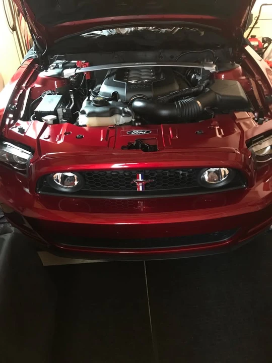 2014 Ford S197 Mustang GT - Image 17 of 20