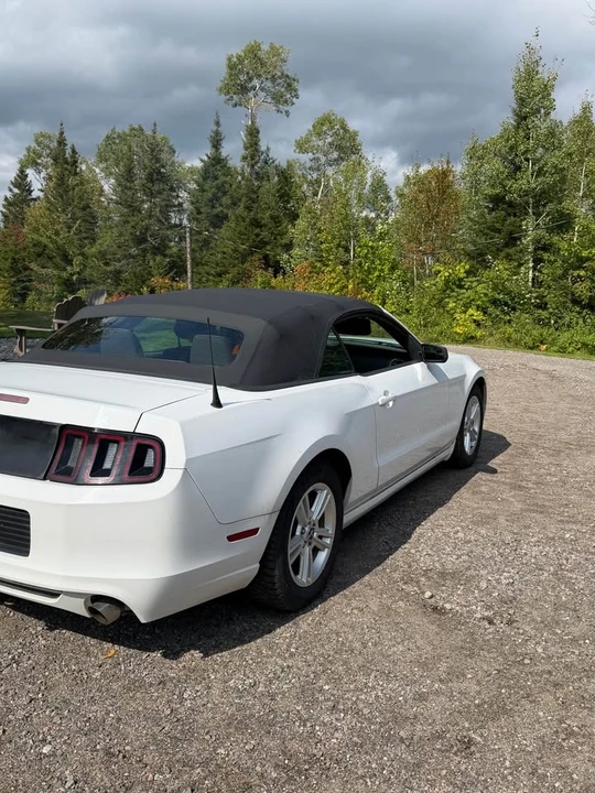 2014 Ford S197 Mustang - Image 3 of 8