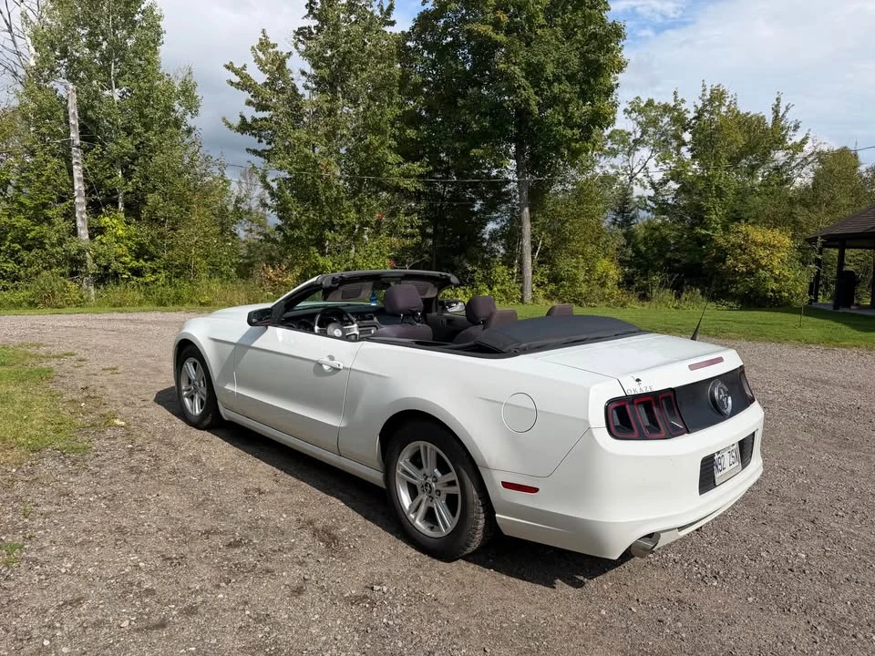2014 Ford S197 Mustang - Image 5 of 8