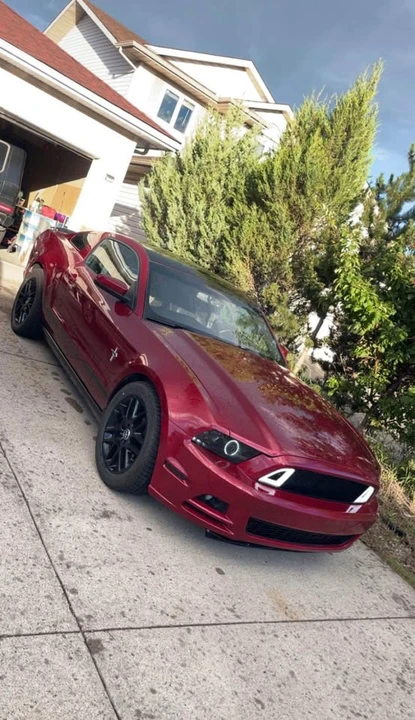 2014 Ford S197 Mustang - Image 2 of 11