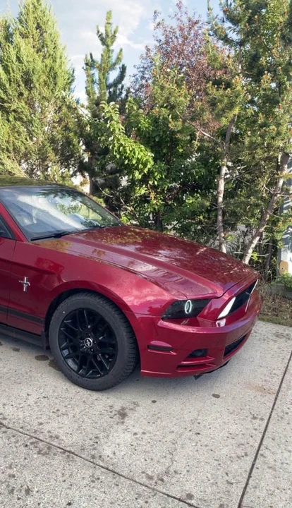2014 Ford S197 Mustang - Image 4 of 11