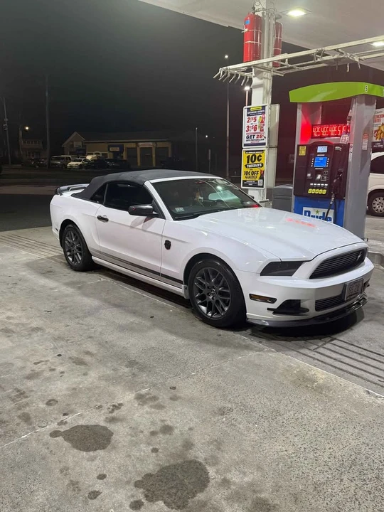 2014 Ford S197 Mustang - Image 14 of 15