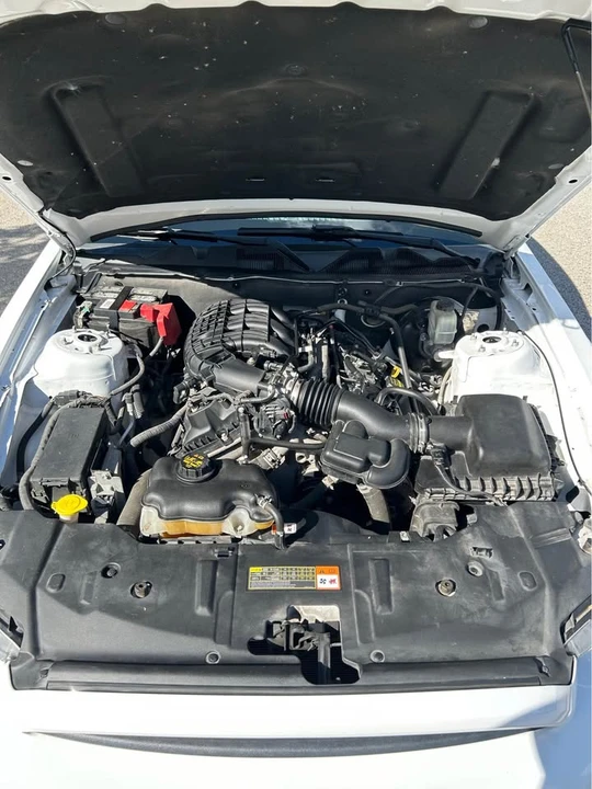 2014 Ford S197 Mustang - Image 12 of 12