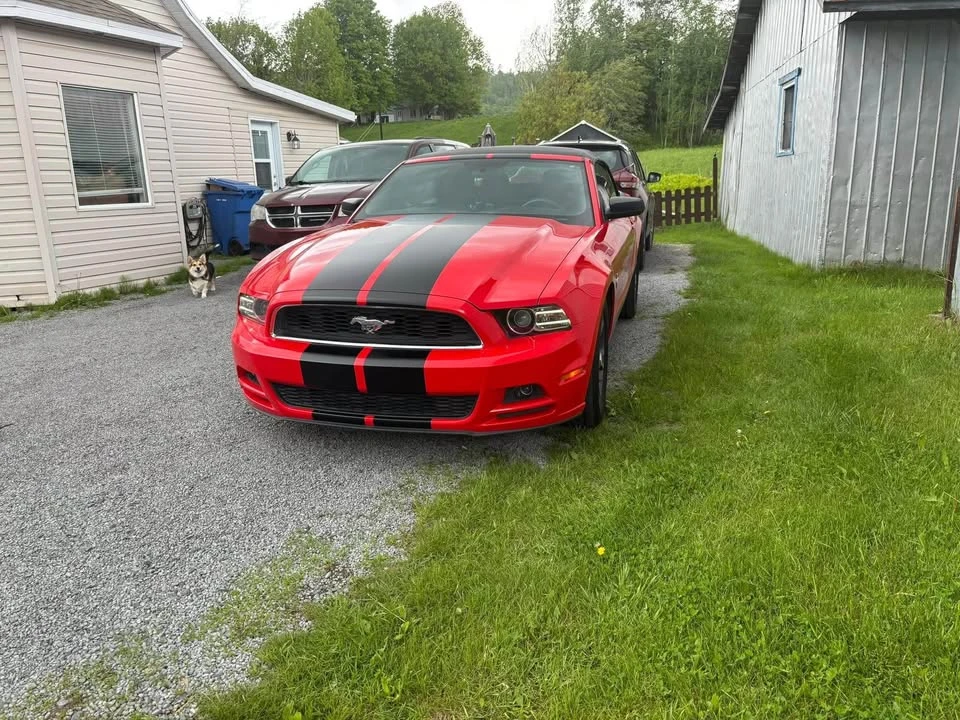 2014 Ford S197 Mustang - Image 2 of 5