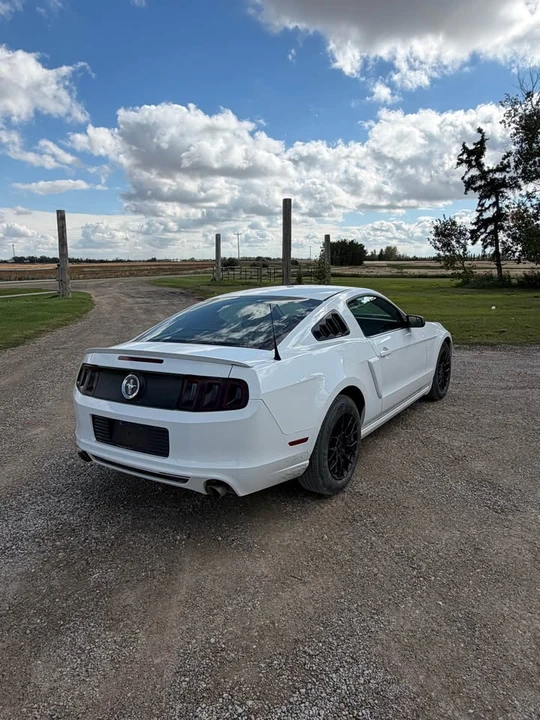 2014 Ford S197 Mustang - Image 4 of 7