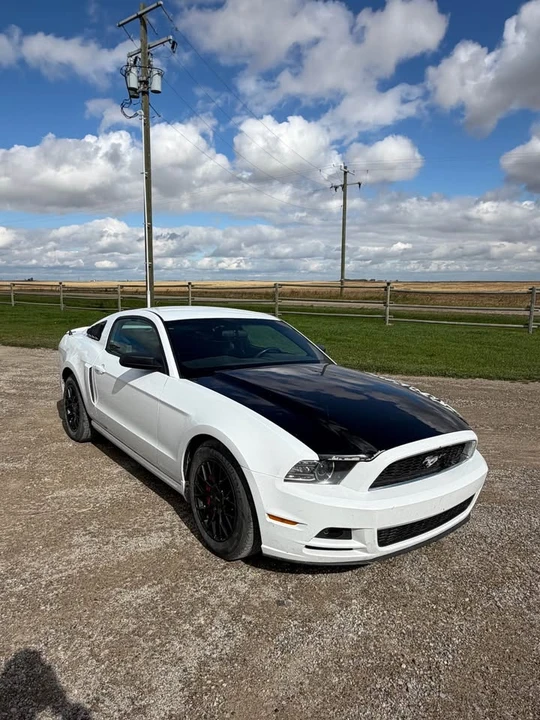 2014 Ford S197 Mustang - Image 5 of 7