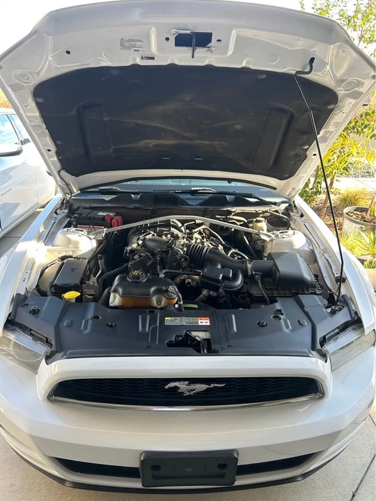 2014 Ford S197 Mustang - Image 19 of 19