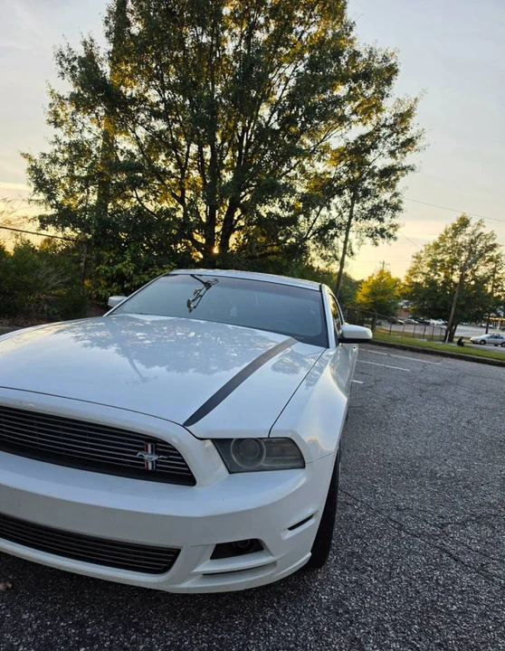 2014 Ford S197 Mustang - Image 13 of 13