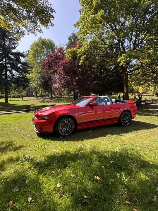2014 Ford S197 Mustang - Image 6 of 14