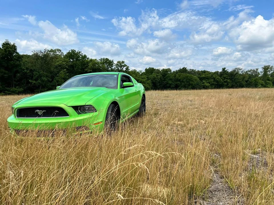 2014 Ford S197 Mustang - Image 6 of 7