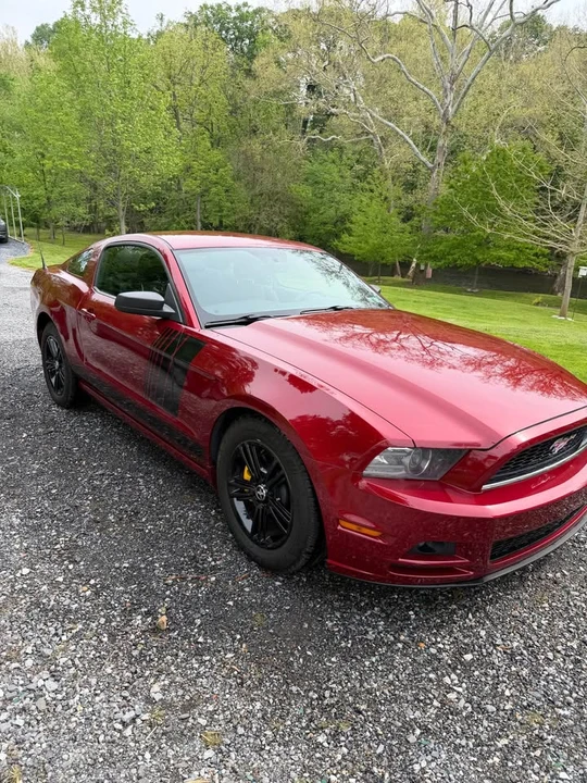 2014 Ford S197 Mustang - Image 7 of 15