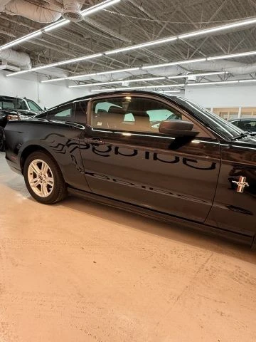 2014 Ford S197 Mustang - Image 13 of 21