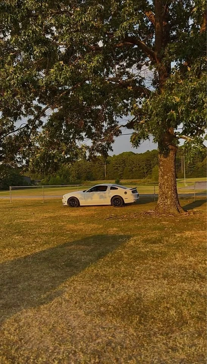 2014 Ford S197 Mustang - Image 5 of 7