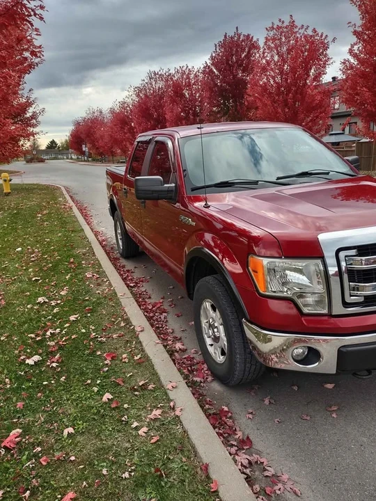 2014 Ford F-150 12th Gen - Image 3 of 11