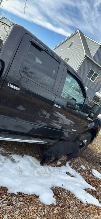 2014 Ford F-150 12th Gen - Image 9 of 11