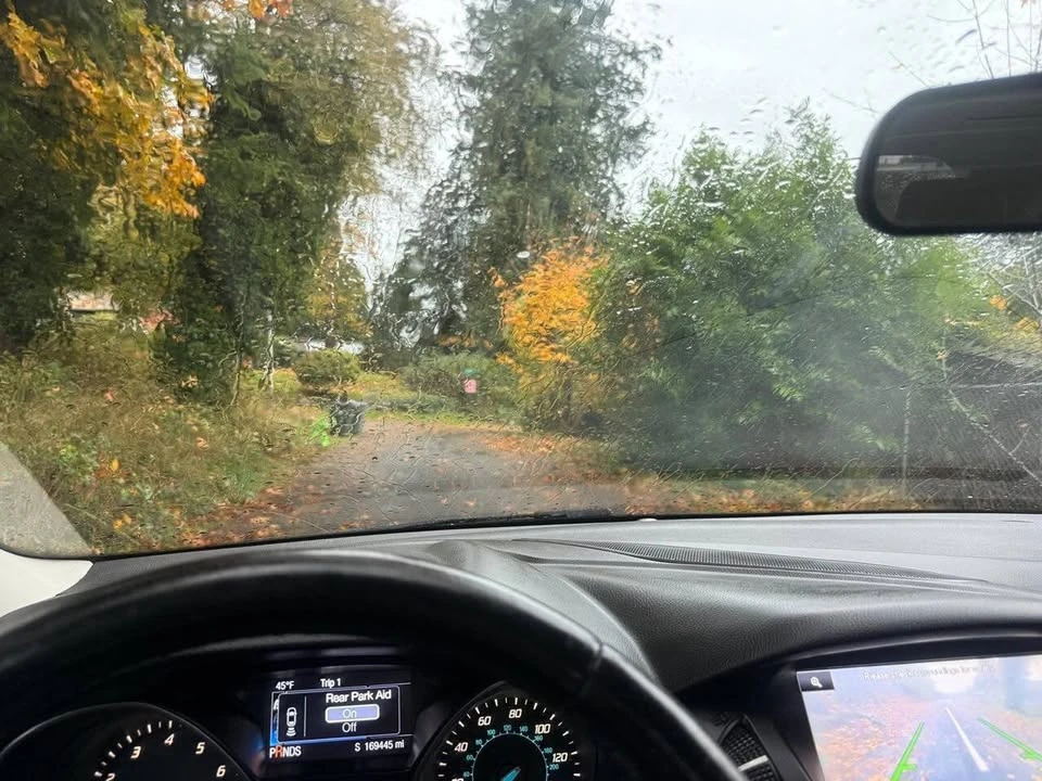 2014 Ford Focus 3rd Gen - Image 16 of 16