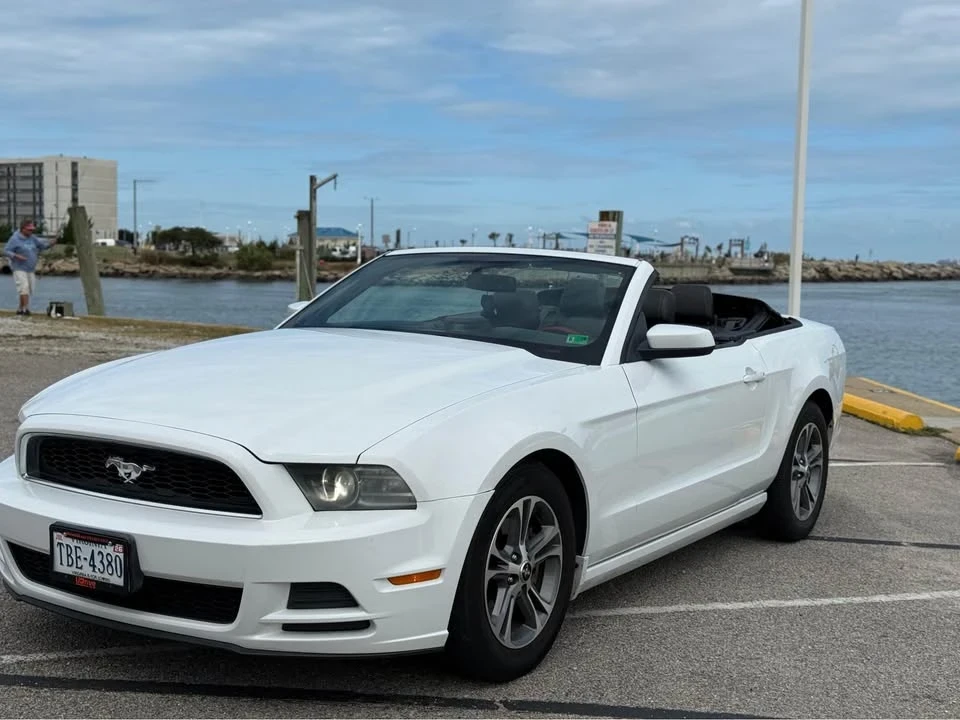 2014 Ford S197 Mustang - Image 18 of 18