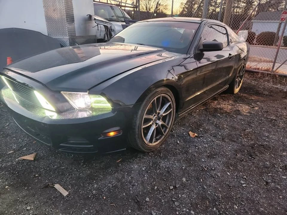 2014 Ford S197 Mustang - Image 3 of 12