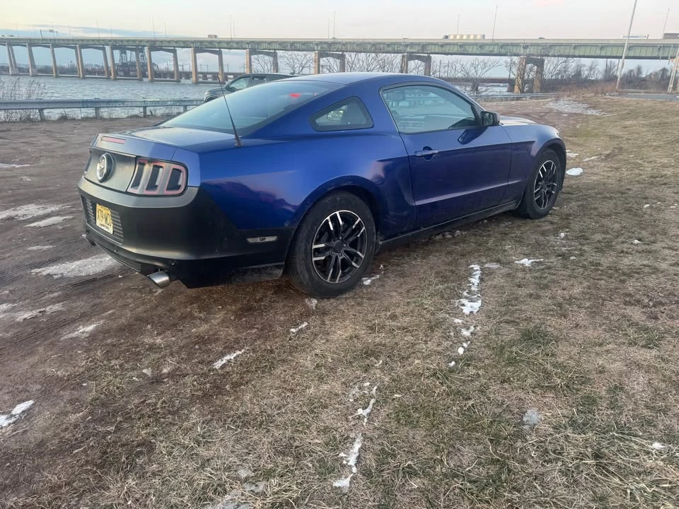 2014 Ford S197 Mustang - Image 15 of 15