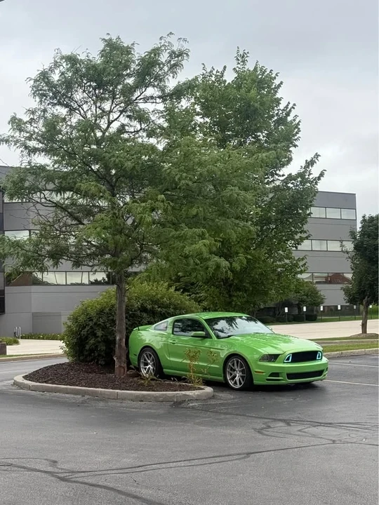 2014 Ford S197 Mustang - Image 3 of 4