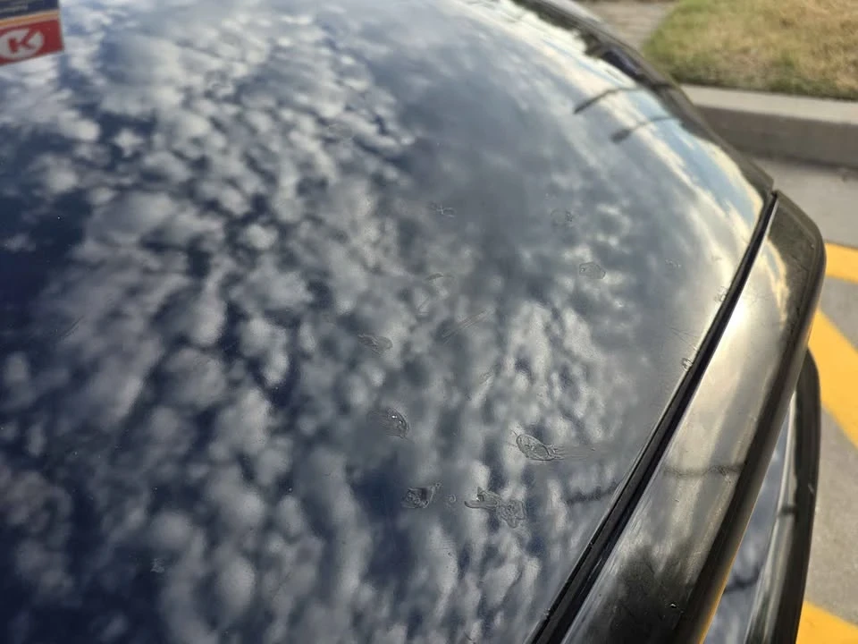 2014 Ford S197 Mustang - Image 15 of 21