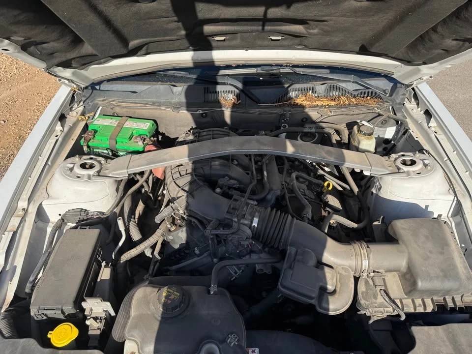 2014 Ford S197 Mustang - Image 15 of 15