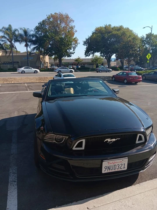 2014 Ford S197 Mustang - Image 14 of 15