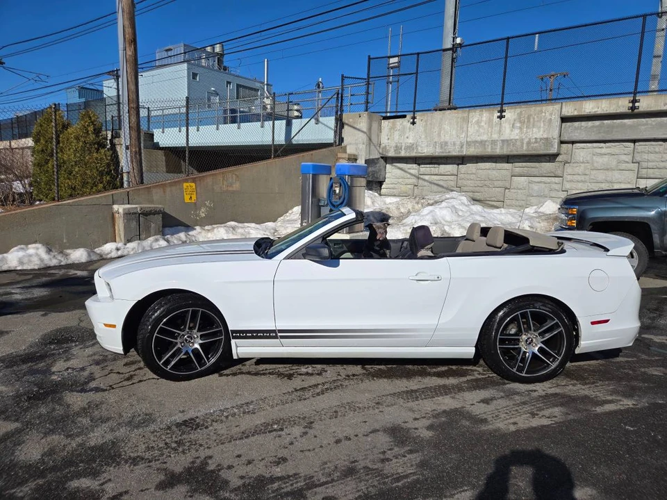 2014 Ford S197 Mustang - Image 18 of 19