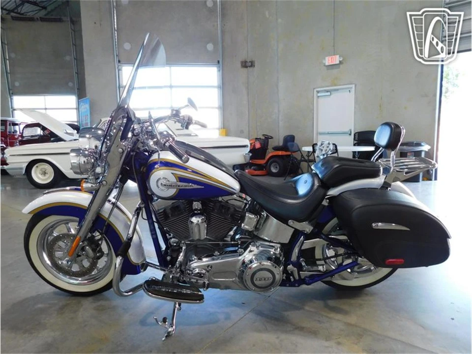 2014 Harley-Davidson Softail - Image 13 of 31
