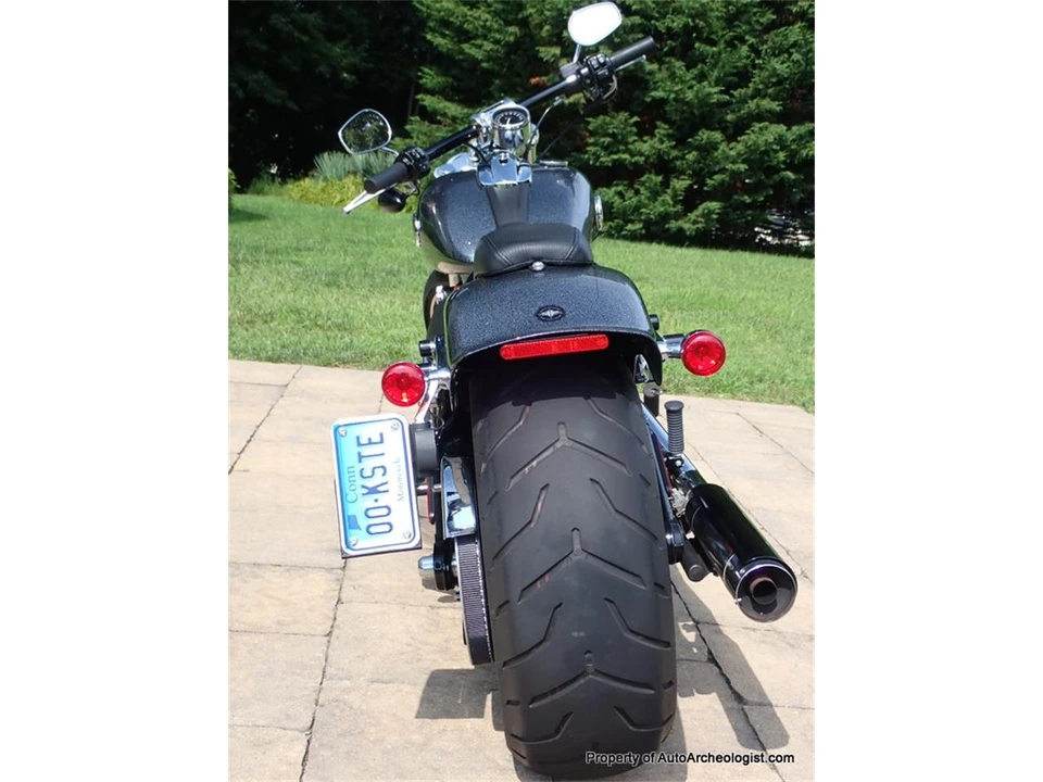 2014 Harley-Davidson Softail - Image 6 of 24
