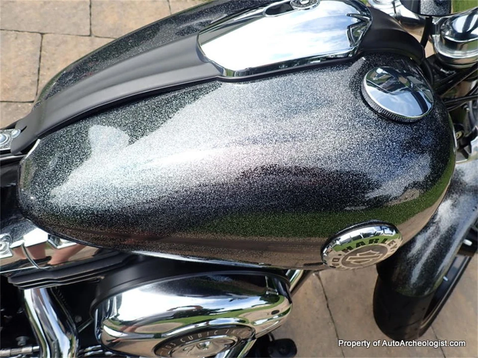 2014 Harley-Davidson Softail - Image 16 of 24