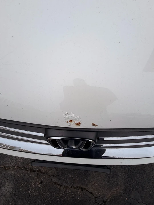 2014 Honda Accord 9th Gen - Image 6 of 14
