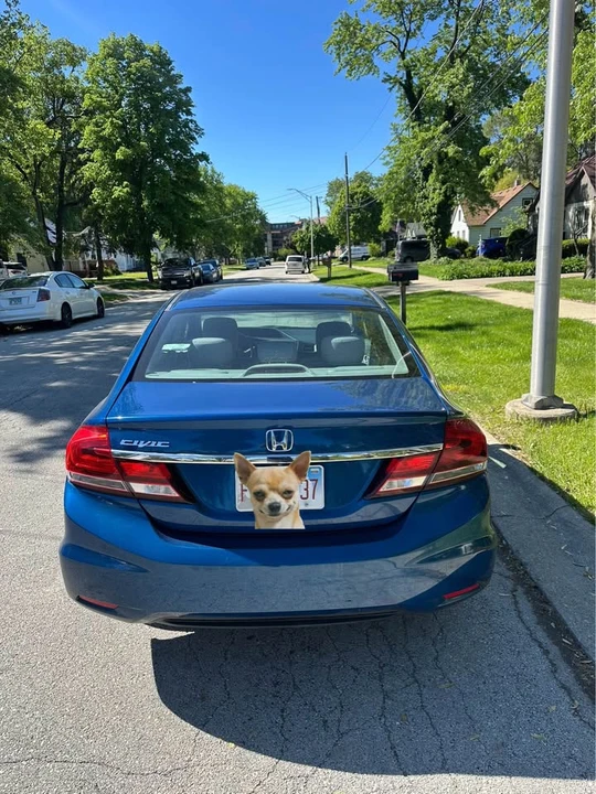 2014 Honda Civic 9th Gen - Image 3 of 13
