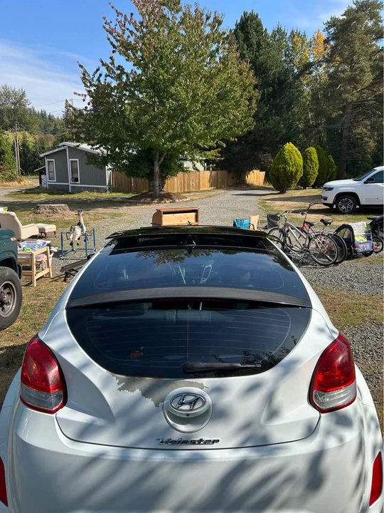 2014 Hyundai Veloster - Image 7 of 8