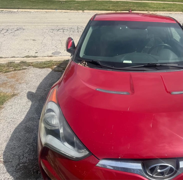 2014 Hyundai Veloster - Image 3 of 5