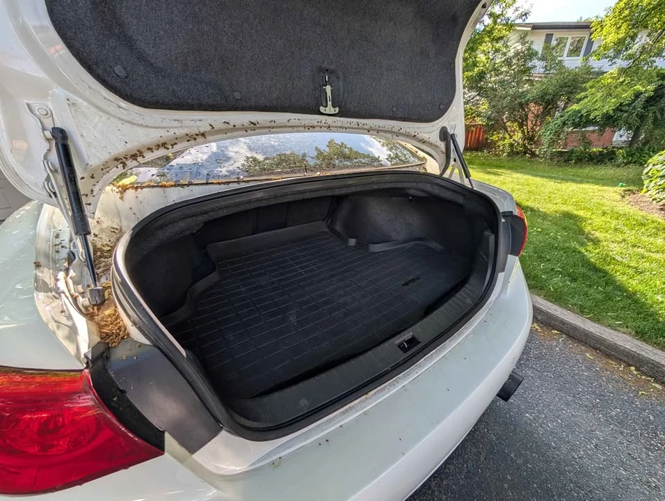 2014 Infiniti Q50 - Image 12 of 12