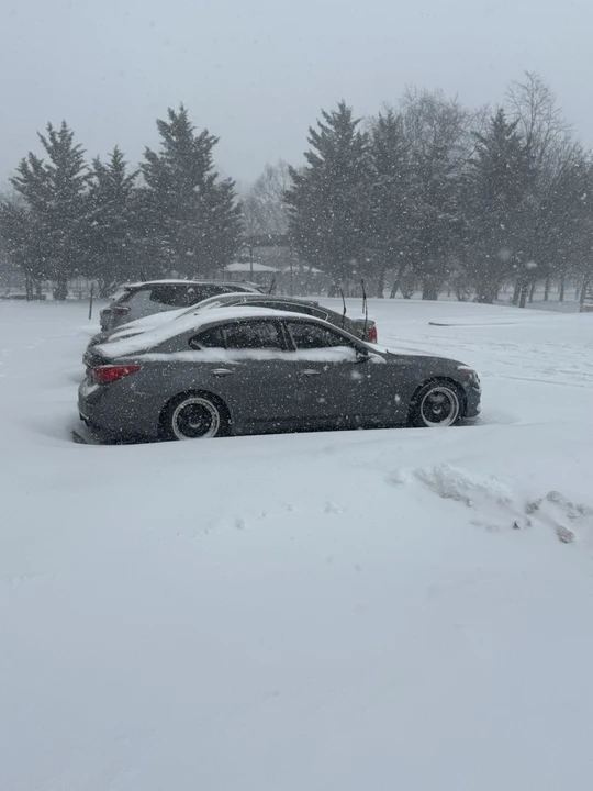 2014 Infiniti Q50 - Image 12 of 14