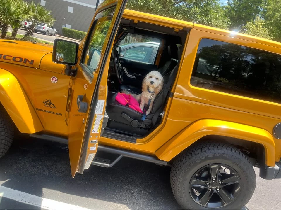 2014 Jeep JK Wrangler - Image 6 of 6