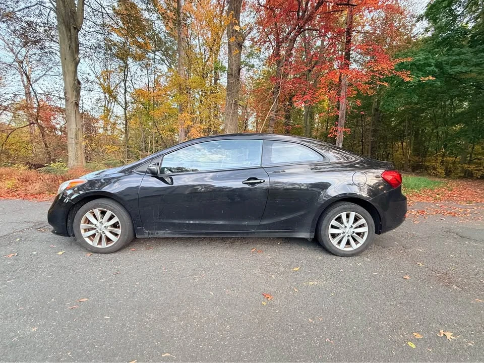2014 Kia Forte - Image 13 of 19