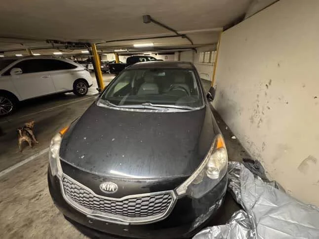 2014 Kia Forte - Image 2 of 13